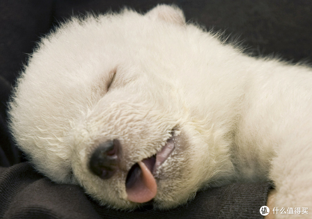 摆脱“春困” 篇一：英国锐步跑步机IRUN4.0，唤醒自我！